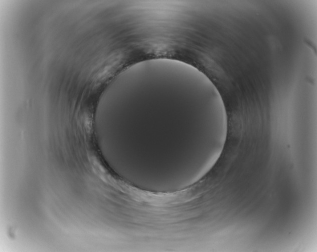 X0000102290039200808152004