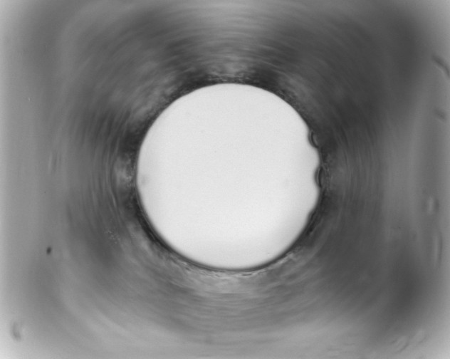 X0000102290040200808152004