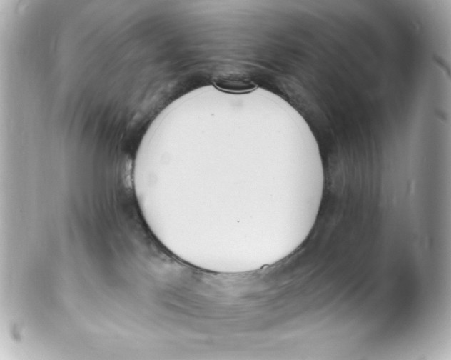 X0000102290041200808152004