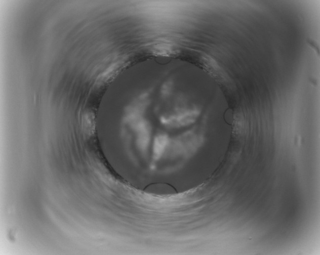 X0000102290043200808152004