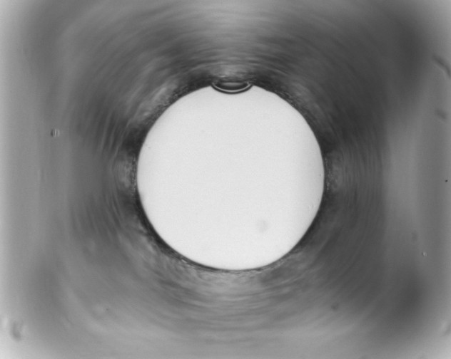 X0000102290044200808152004