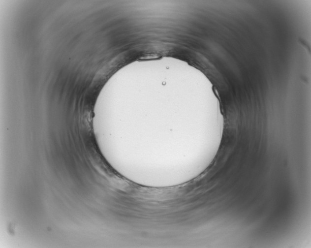 X0000102290045200808152004