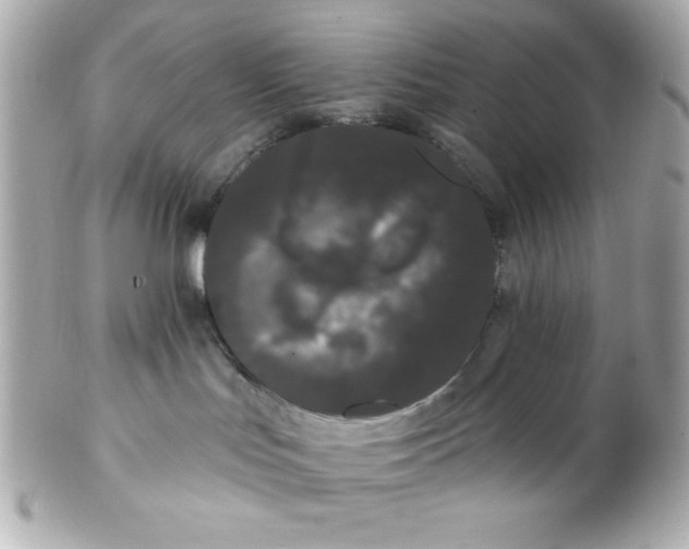 X0000102290047200808152004