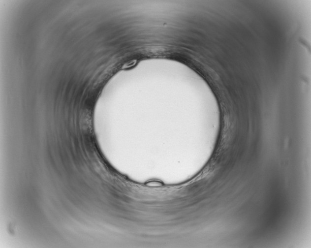 X0000102290048200808152004