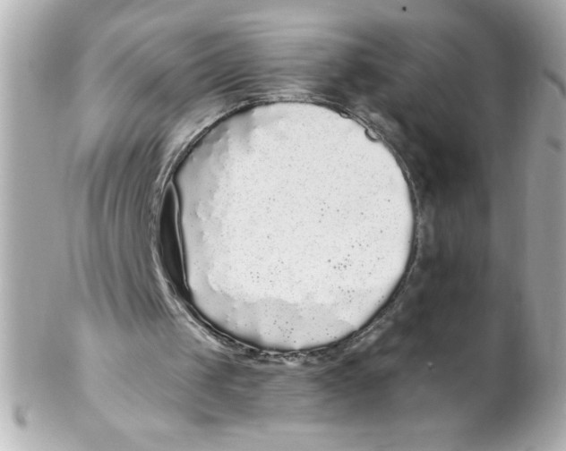 X0000102290049200808152004