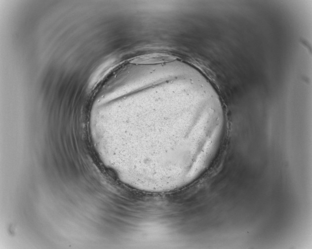 X0000102290053200808152004