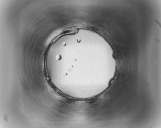 X0000102290054200808152004