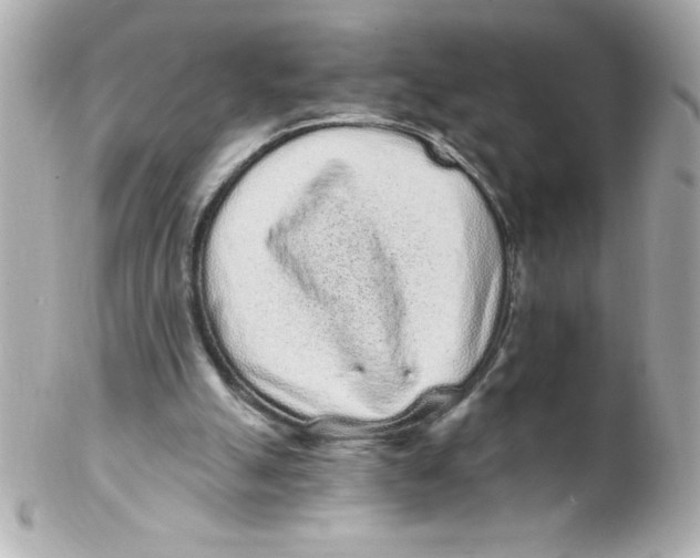 X0000102290055200808152004