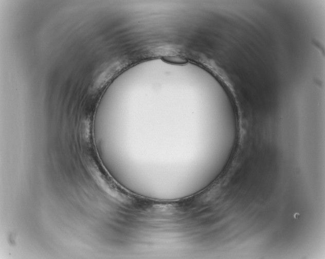 X0000102290057200808152004