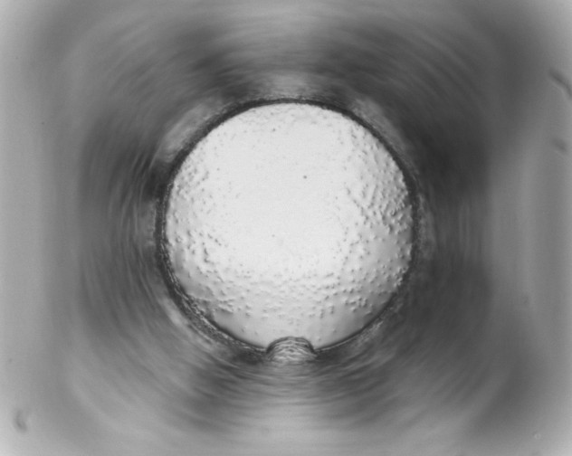 X0000102290058200808152004