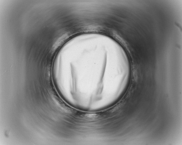 X0000102290059200808152004