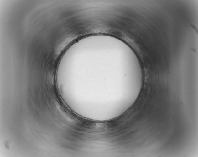 X0000102290060200808152004