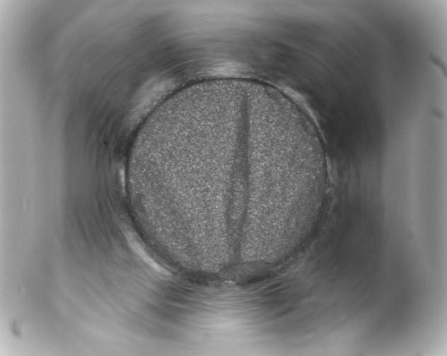 X0000102290061200808152004