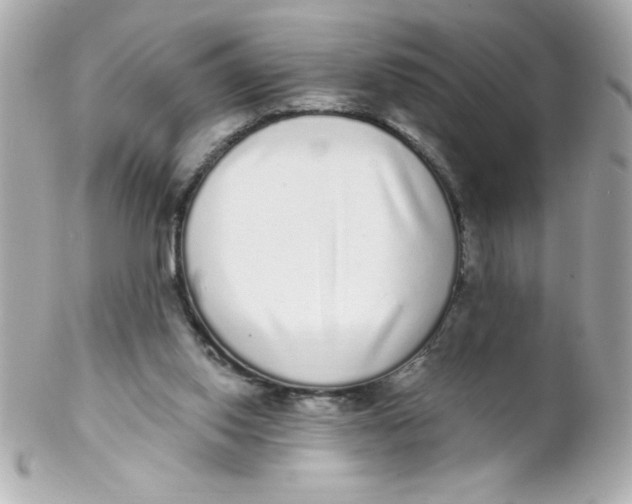 X0000102290062200808152004