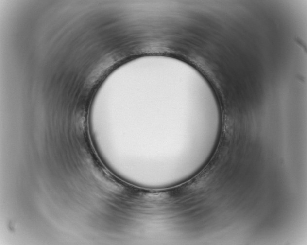 X0000102290063200808152004