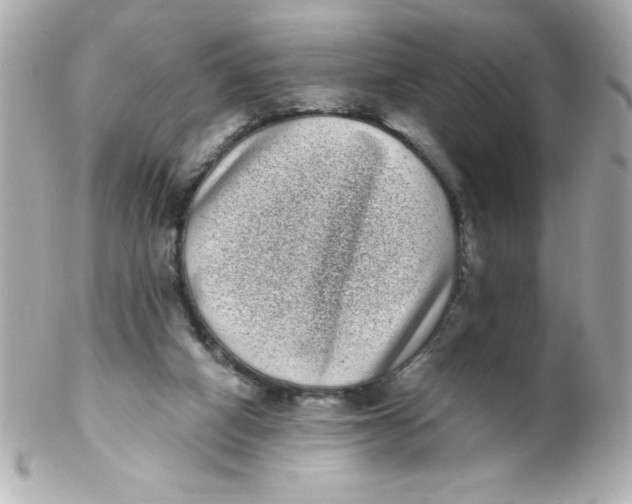 X0000102290066200808152004