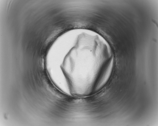 X0000102290067200808152004