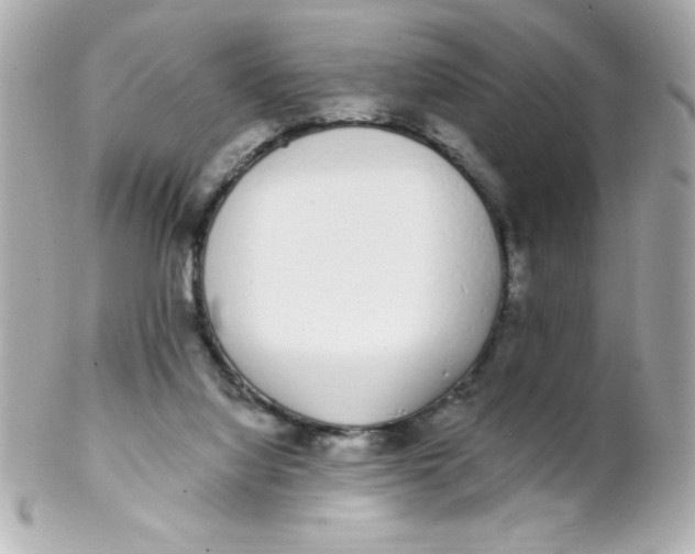 X0000102290068200808152004