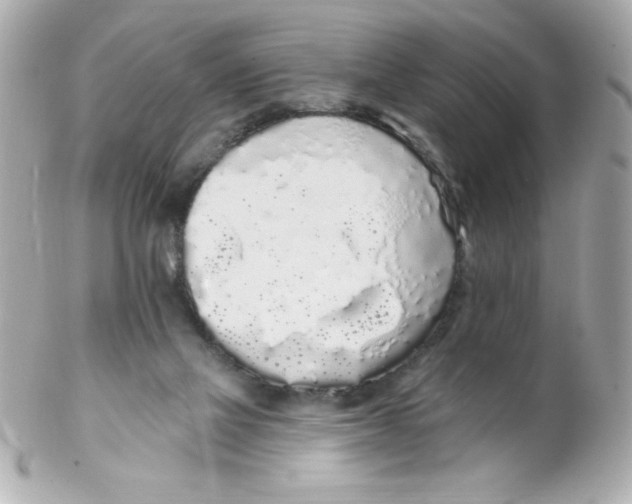 X0000102290069200808152004