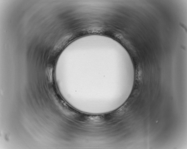 X0000102290070200808152004