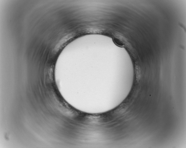 X0000102290071200808152004