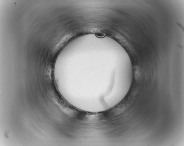 X0000102290072200808152004