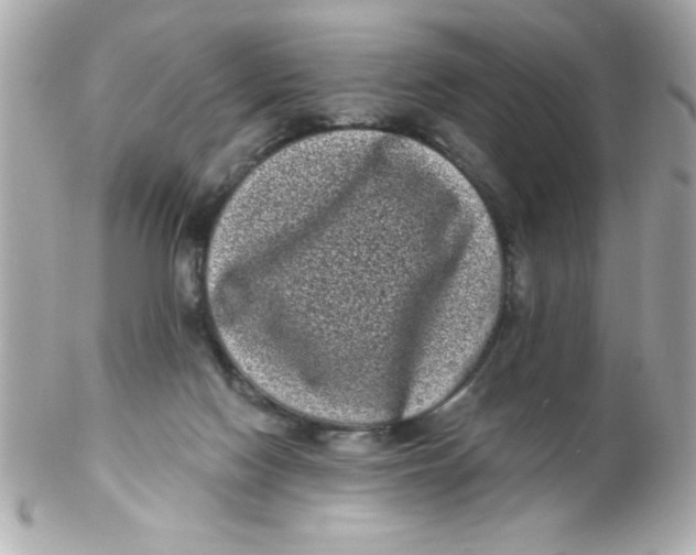 X0000102290074200808152004