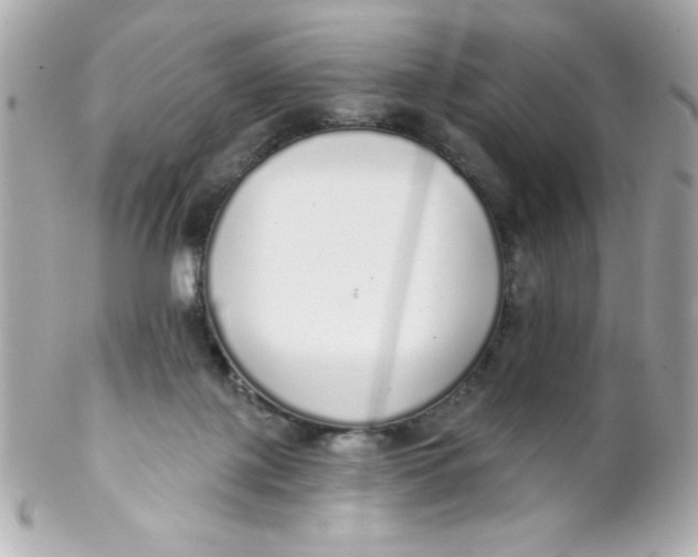 X0000102290075200808152004