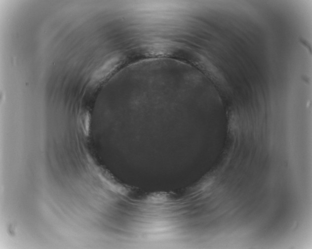 X0000102290076200808152004