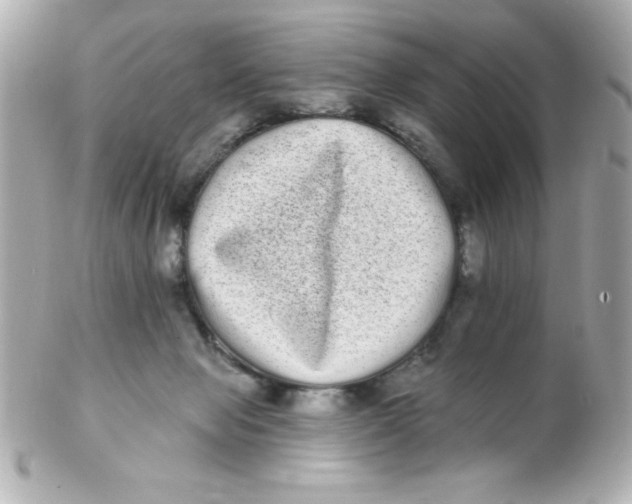 X0000102290077200808152004