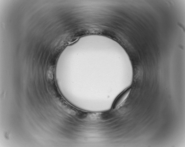 X0000102290078200808152004