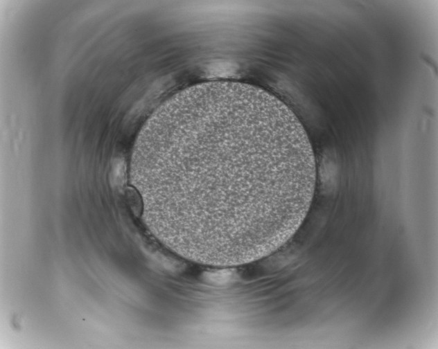 X0000102290079200808152004