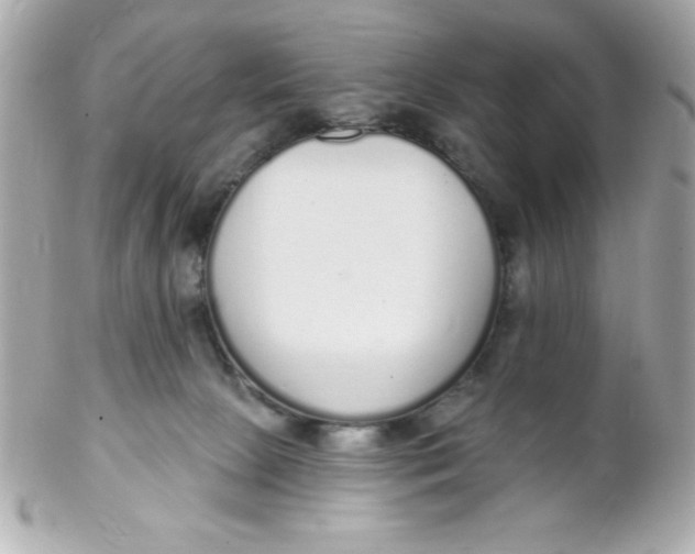 X0000102290081200808152004