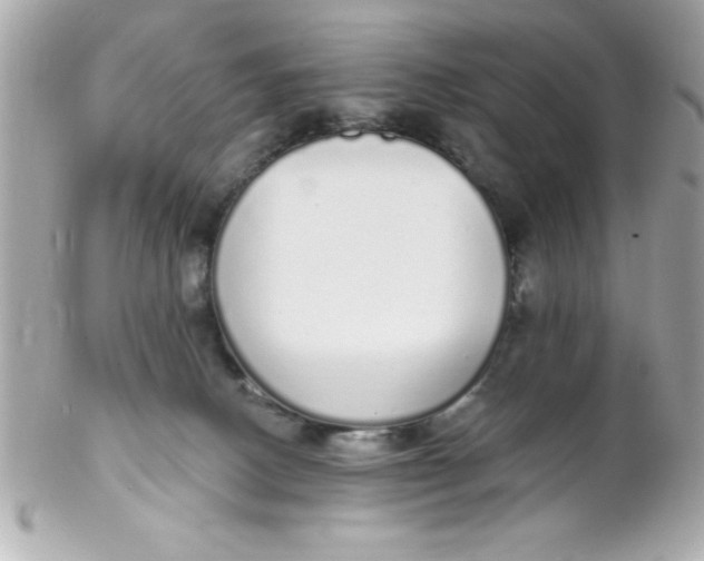 X0000102290082200808152004