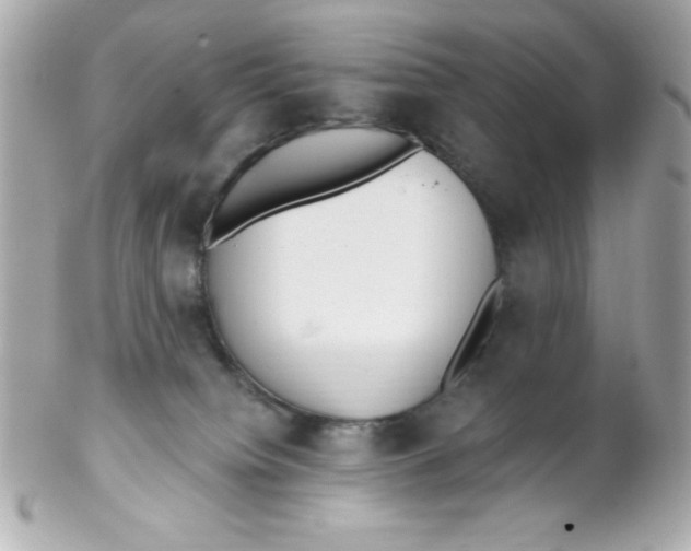 X0000102290084200808152004