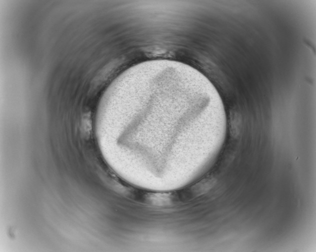 X0000102290085200808152004