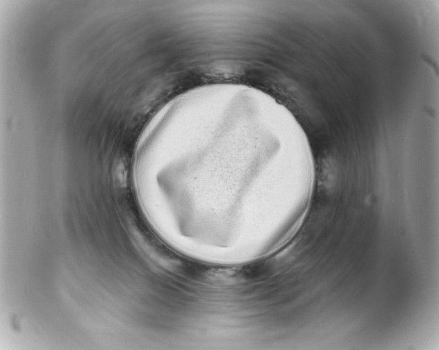 X0000102290086200808152004