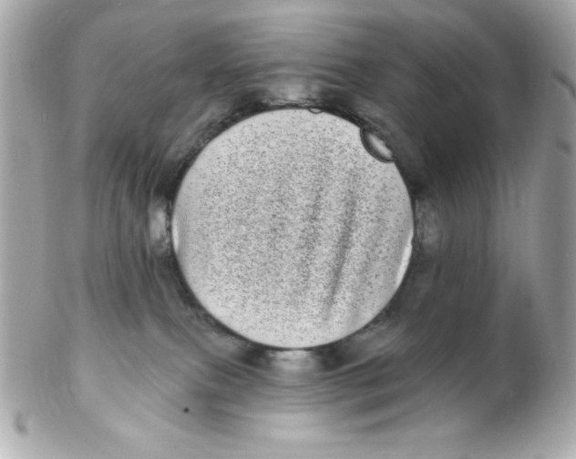 X0000102290087200808152004