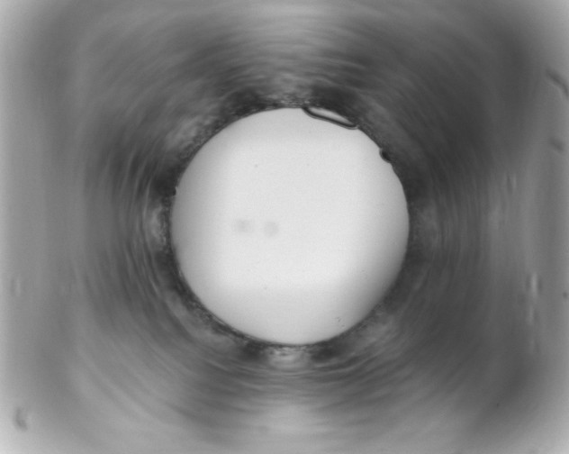 X0000102290088200808152004