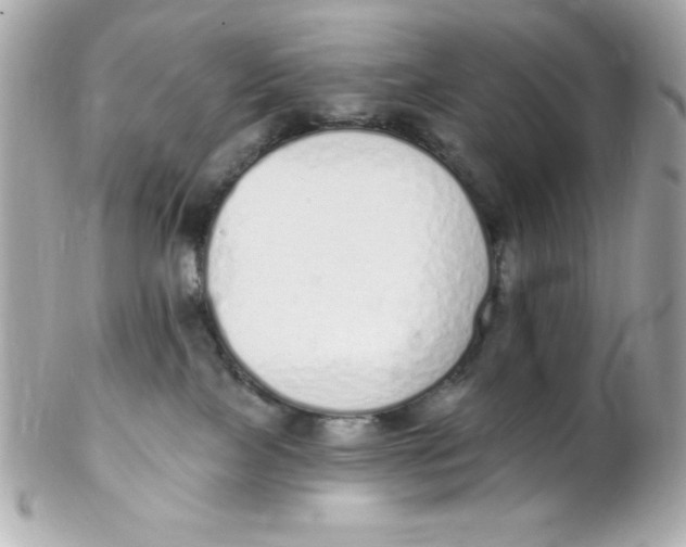 X0000102290089200808152004