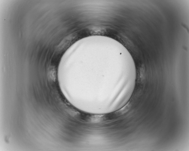 X0000102290090200808152004