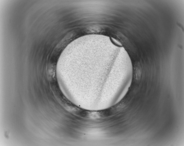 X0000102290091200808152004