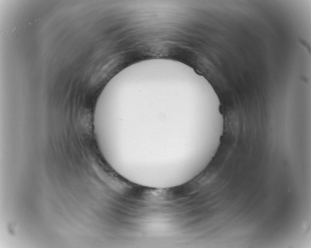 X0000102290092200808152004