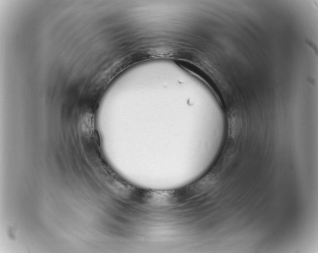 X0000102290093200808152004