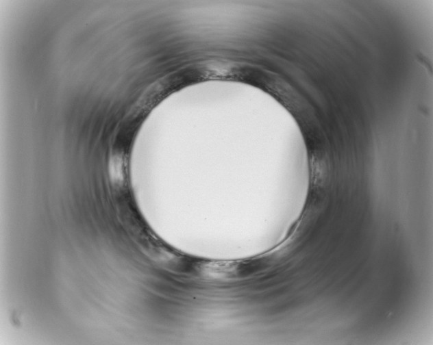 X0000102290094200808152004