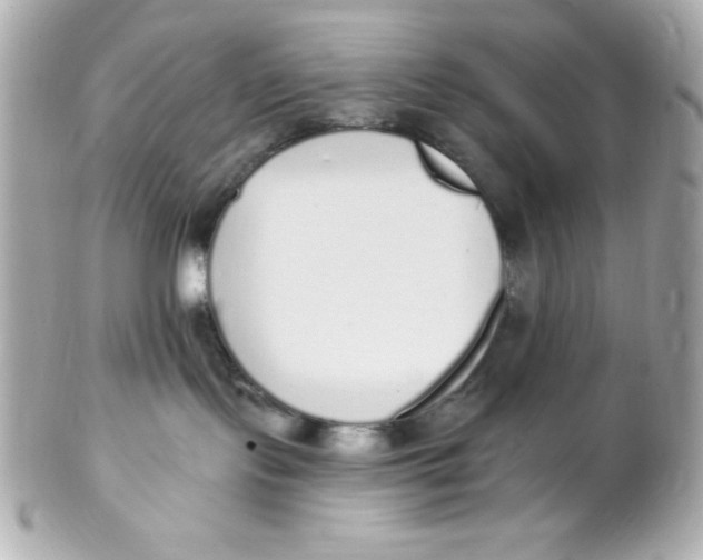 X0000102290095200808152004