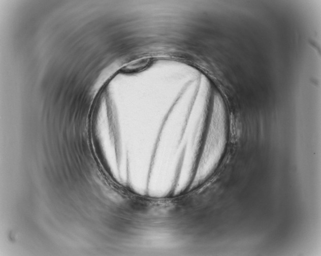 X0000102290099200808152004