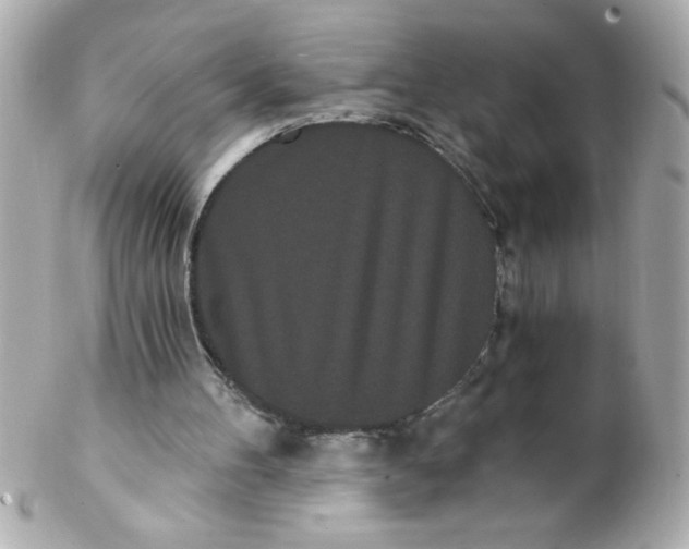 X0000102290100200808152004