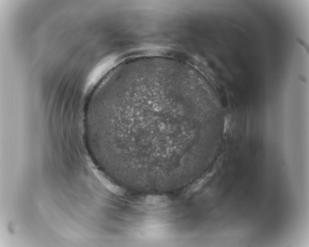 X0000102290101200808152004