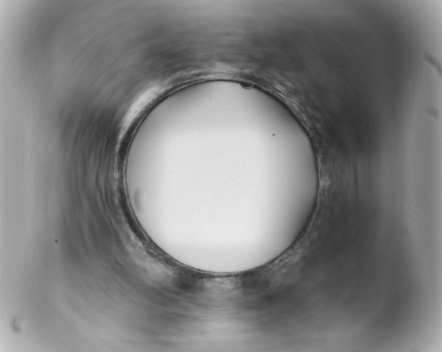 X0000102290102200808152004